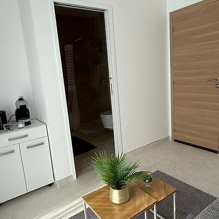 Exceptionnel Studio Versailles Le Chesnay  Buitenkant foto